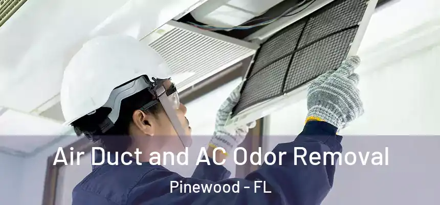 Air Duct and AC Odor Removal Pinewood - FL