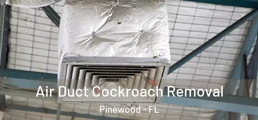  Air Duct Cockroach Removal Pinewood - FL