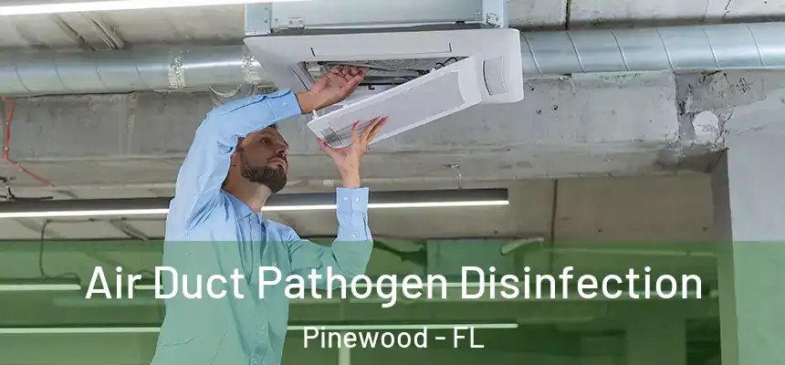  Air Duct Pathogen Disinfection Pinewood - FL