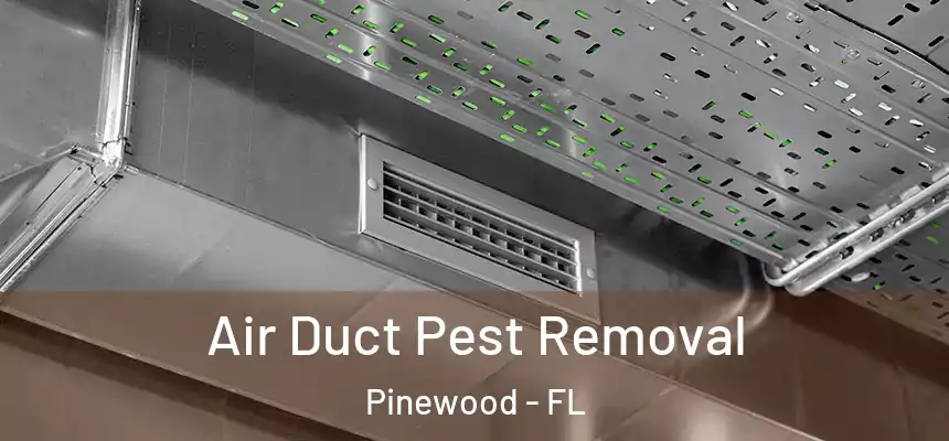  Air Duct Pest Removal Pinewood - FL