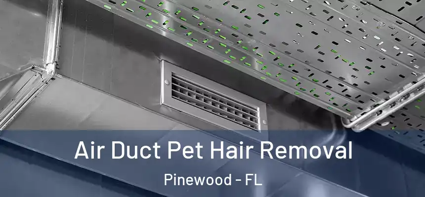  Air Duct Pet Hair Removal Pinewood - FL