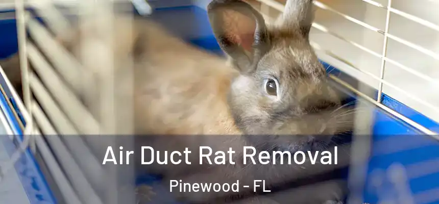 Air Duct Rat Removal Pinewood - FL
