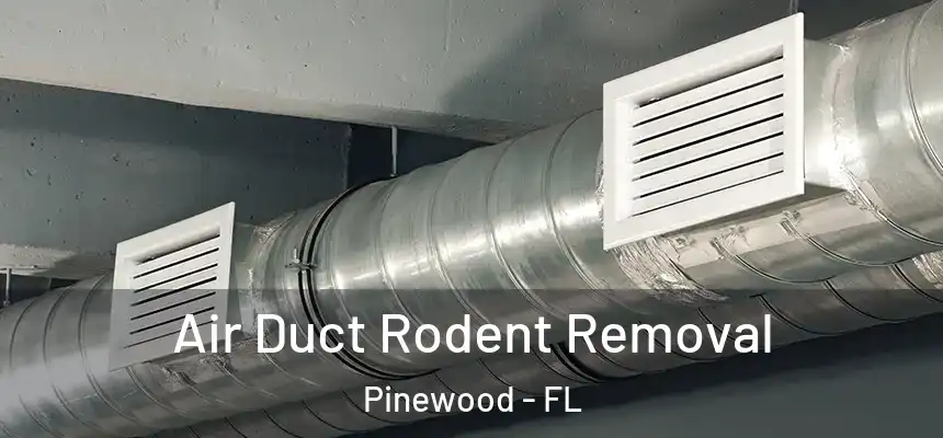 Air Duct Rodent Removal Pinewood - FL