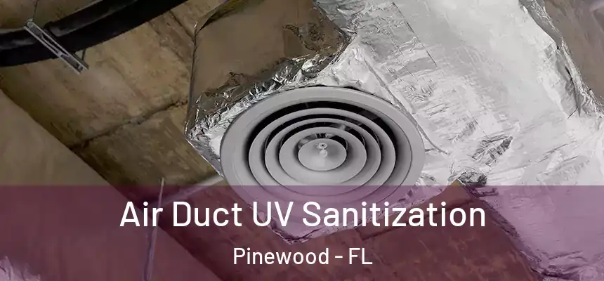  Air Duct UV Sanitization Pinewood - FL