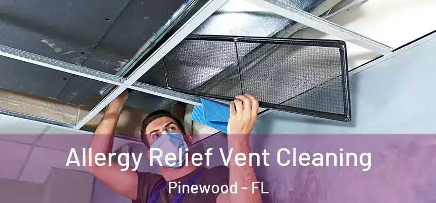 Allergy Relief Vent Cleaning Pinewood - FL