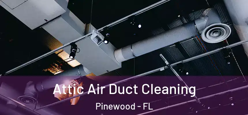  Attic Air Duct Cleaning Pinewood - FL