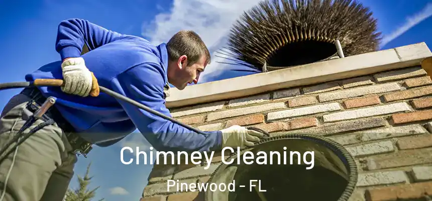 Chimney Cleaning Pinewood - FL