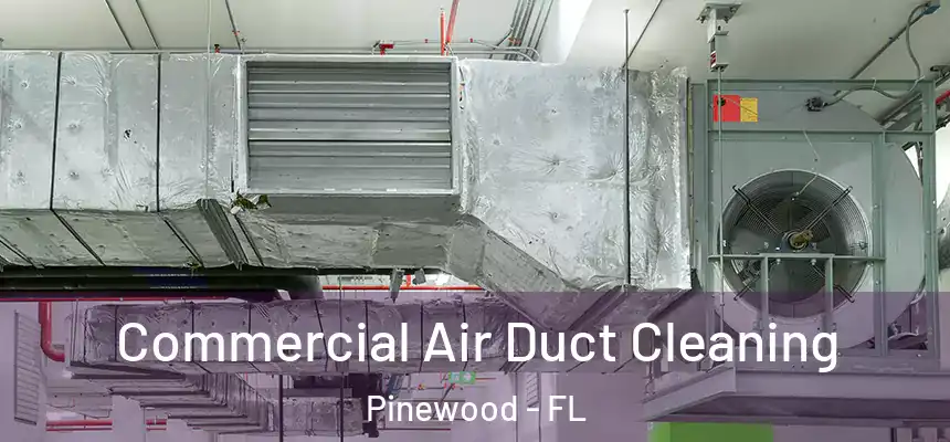 Commercial Air Duct Cleaning Pinewood - FL
