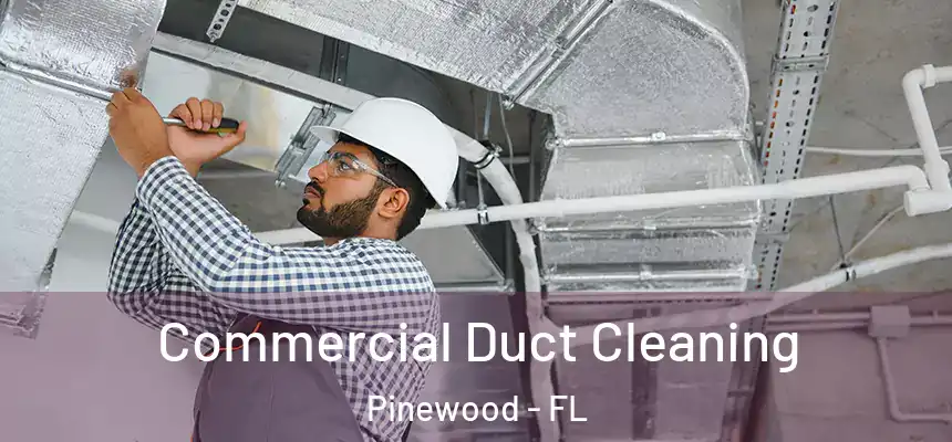  Commercial Duct Cleaning Pinewood - FL