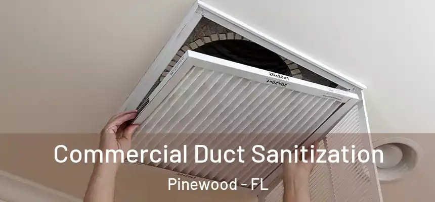  Commercial Duct Sanitization Pinewood - FL