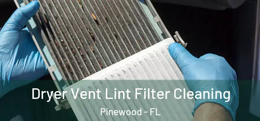 Dryer Vent Lint Filter Cleaning Pinewood - FL