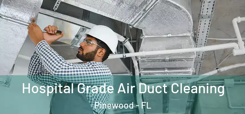  Hospital Grade Air Duct Cleaning Pinewood - FL