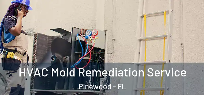  HVAC Mold Remediation Service Pinewood - FL