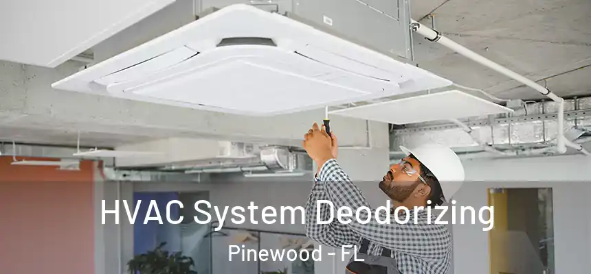 HVAC System Deodorizing Pinewood - FL