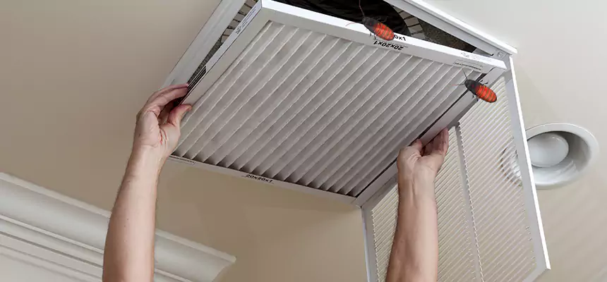 Our Insect Removal from Air Ducts Services in Pinewood, FL