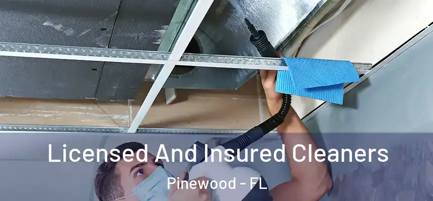  Licensed And Insured Cleaners Pinewood - FL