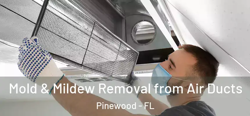  Mold & Mildew Removal from Air Ducts Pinewood - FL