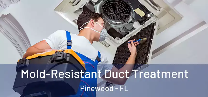  Mold-Resistant Duct Treatment Pinewood - FL