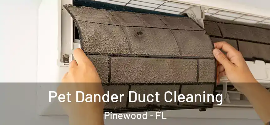  Pet Dander Duct Cleaning Pinewood - FL