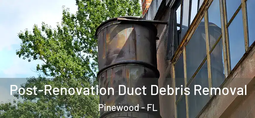  Post-Renovation Duct Debris Removal Pinewood - FL