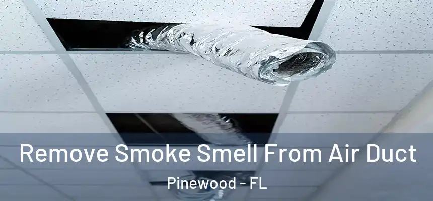  Remove Smoke Smell From Air Duct Pinewood - FL