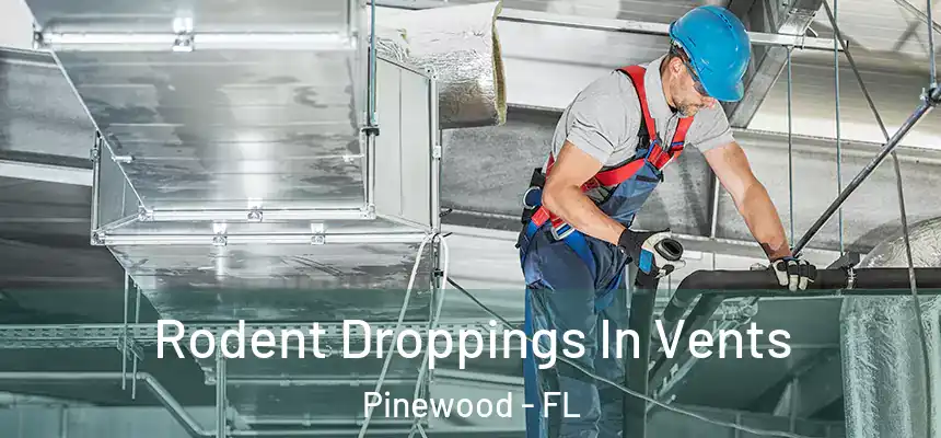  Rodent Droppings In Vents Pinewood - FL