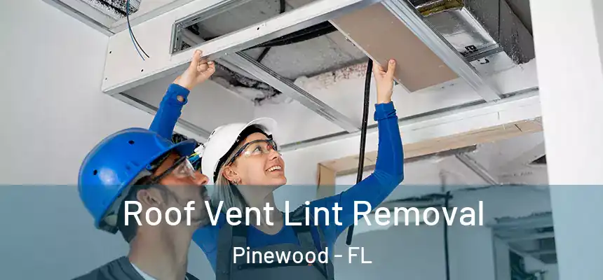  Roof Vent Lint Removal Pinewood - FL