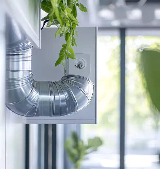 Professional Eco-Safe Dryer Vent Cleaning in Pinewood, FL