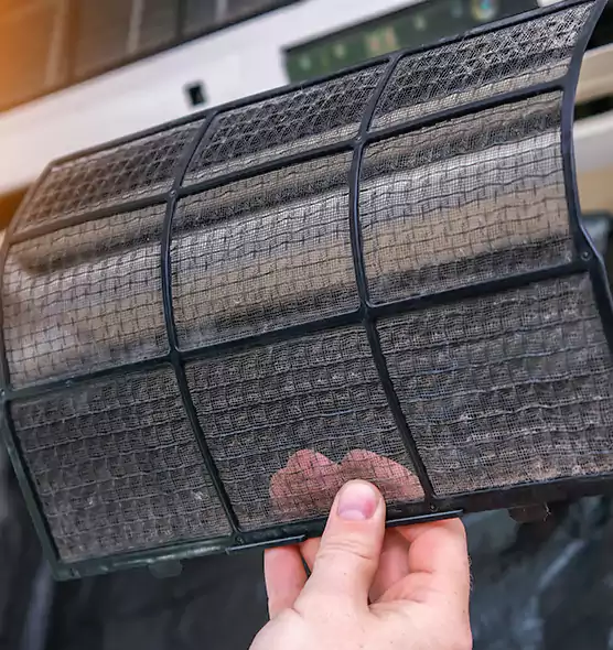 About Pet Dander Duct Cleaning in Pinewood, FL