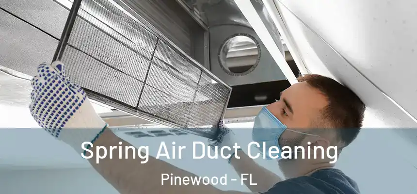  Spring Air Duct Cleaning Pinewood - FL